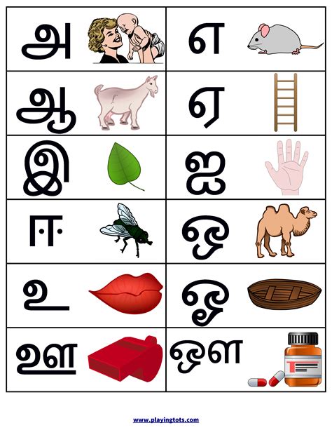 odd one tamil meaning|3. ODD ONE OUT IN TAMIL / CLASSIFICATION IN TAMIL / .